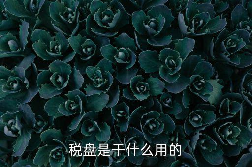 為什么要買金稅盤，稅控盤是一定要買的嗎