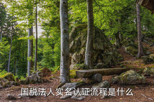 稅務(wù)實名認證需要什么，在國稅局辦理實名認證要準備哪些資料