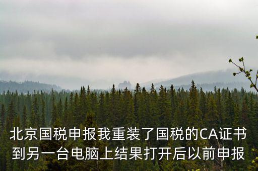 為什么有別的電腦上查不到國(guó)稅申報(bào)文件，國(guó)稅申報(bào)能在其他電腦里查看報(bào)表打印出來嗎如果不能查看和打