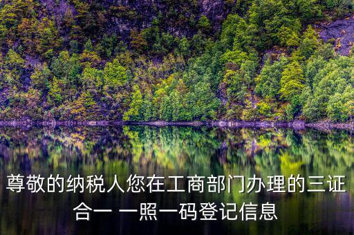 多證合一備案是什么，三證合一需要去國稅備案請問需要帶什么