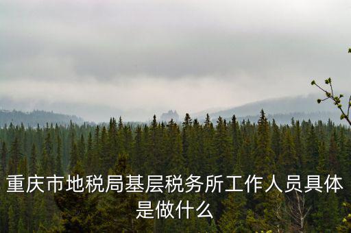 稅務(wù)局什么工作人員，請問地方稅務(wù)局具體做哪些工作