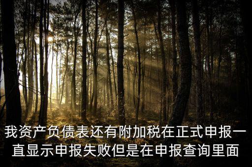我資產(chǎn)負(fù)債表還有附加稅在正式申報(bào)一直顯示申報(bào)失敗但是在申報(bào)查詢(xún)里面