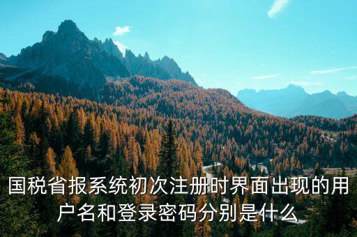 河南省國(guó)稅申報(bào)系統(tǒng)帳號(hào)是什么，請(qǐng)問(wèn)國(guó)稅申報(bào)用戶(hù)號(hào)是什么密碼又是什么