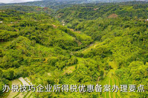 稅收優(yōu)惠事項備案項目是什么，企業(yè)所得稅需備案的事項包括哪些