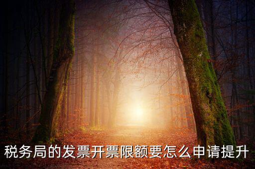 提高開票限額申請需要什么資料，去稅務局增大公司的開票限額需要帶些什么我公司第一次開票去申