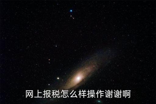 福建企業(yè)在什么網(wǎng)站報(bào)稅，網(wǎng)上報(bào)稅怎么樣操作謝謝啊
