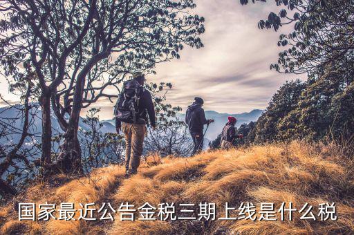 金稅三期從什么上線，國(guó)家最近公告金稅三期上線是什么稅