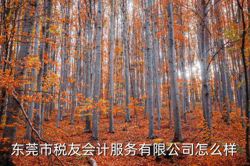 東莞稅友是做什么的，稅友集團是做什么的