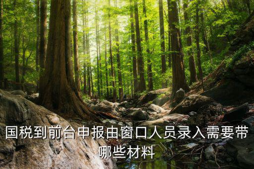 安徽去窗口申報稅需要帶什么材料，申報增值稅要拿什么材料去