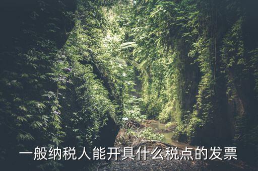 一般納稅人領(lǐng)什么發(fā)票，一般納稅人企業(yè)能開(kāi)具和使用什么類型的發(fā)票