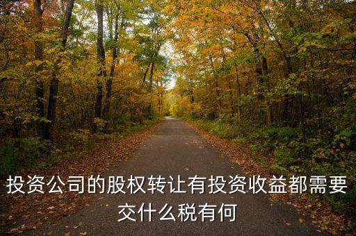 投資公司要交什么稅，投資集團(tuán)公司如何繳稅