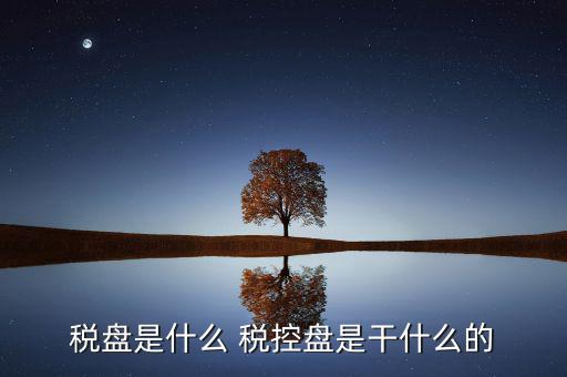 中稅協(xié)安全盤是什么，稅盤是什么 稅控盤是干什么的