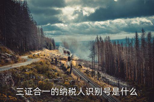 三證合一的稅號(hào)是什么，三證合一的納稅人識(shí)別號(hào)是什么