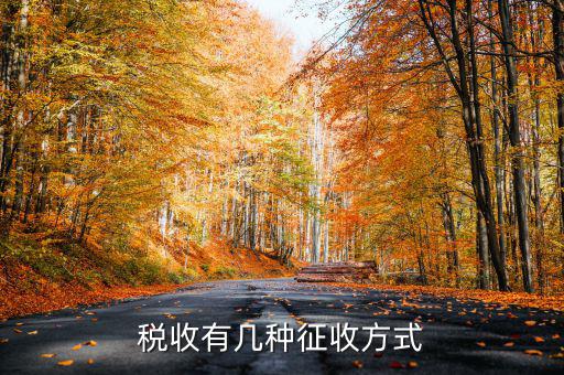 稅務(wù)征非稅采取什么方式，稅務(wù)征收有哪幾種