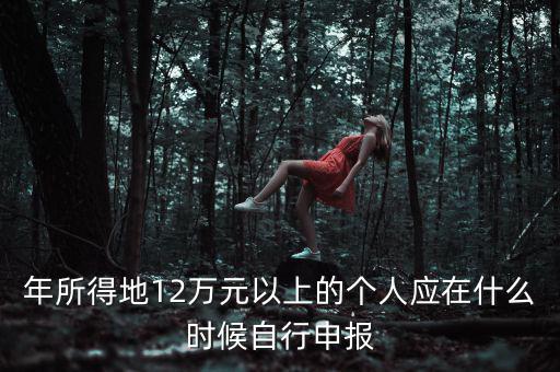 年所得地12萬(wàn)元以上的個(gè)人應(yīng)在什么時(shí)候自行申報(bào)