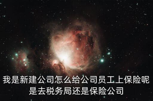 稅務(wù)局保險是什么，稅務(wù)局讓企業(yè)交得規(guī)費和參保費是什么