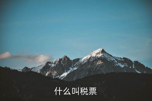 納稅稅票是什么，什么叫稅票