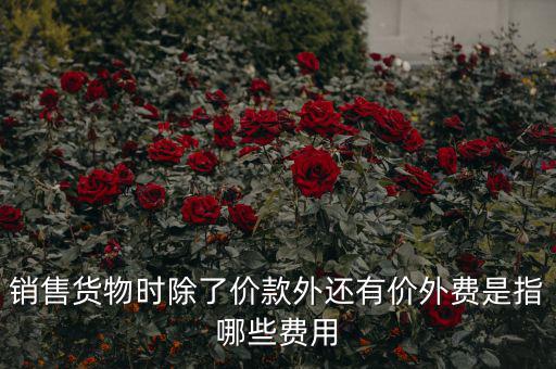 什么叫價外費用，屬于價外費用的是什么