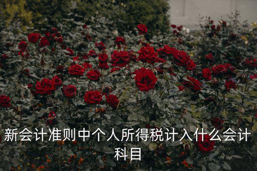 所得稅費(fèi)用什么科目，新會(huì)計(jì)準(zhǔn)則中個(gè)人所得稅計(jì)入什么會(huì)計(jì)科目