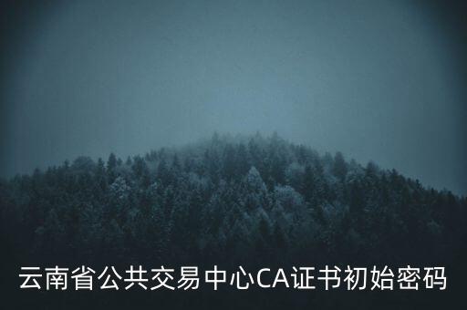 云南省公共交易中心CA證書(shū)初始密碼