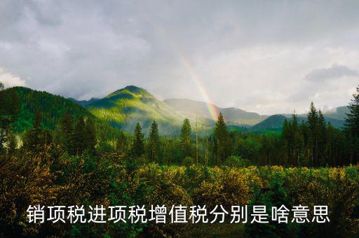 什么是銷項(xiàng)和進(jìn)項(xiàng)，進(jìn)項(xiàng)稅和銷項(xiàng)稅是什么意思