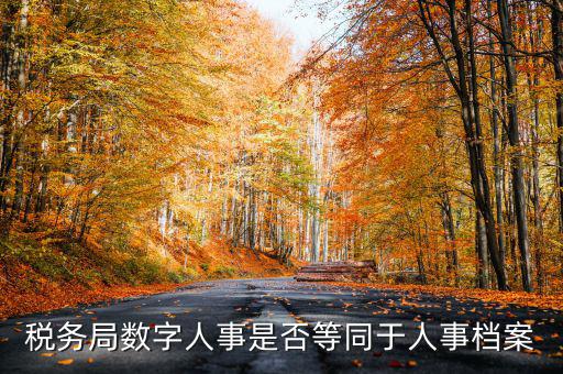 數(shù)字人事國(guó)稅是什么，數(shù)字人事第一段怎么劃分