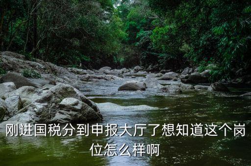 國稅局新進(jìn)人員一般分到什么崗位，國稅局 工作人員需要哪些專業(yè)職稱