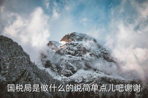 濰坊市國稅局是什么，國稅局的具體解釋是什么