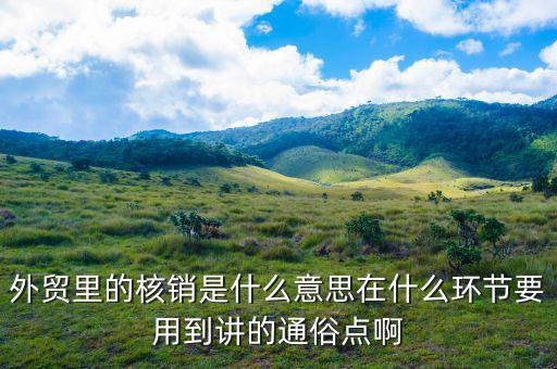 外貿(mào)里的核銷(xiāo)是什么意思在什么環(huán)節(jié)要用到講的通俗點(diǎn)啊