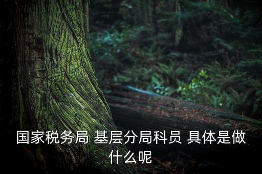 國地稅征管改革黨員干部干什么，國家稅務(wù)局 基層分局科員 具體是做什么呢