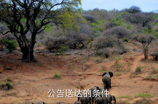 稅務(wù)局公告送達(dá)需要什么條件，公告送達(dá)的條件