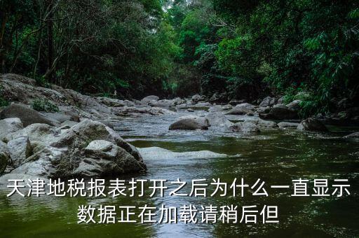 天津地稅為什么，天津地稅報(bào)表打開之后為什么一直顯示數(shù)據(jù)正在加載請(qǐng)稍后但