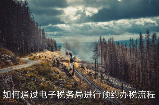 國稅局預(yù)約有什么，拿金稅盤去國稅前臺弄要預(yù)約嗎