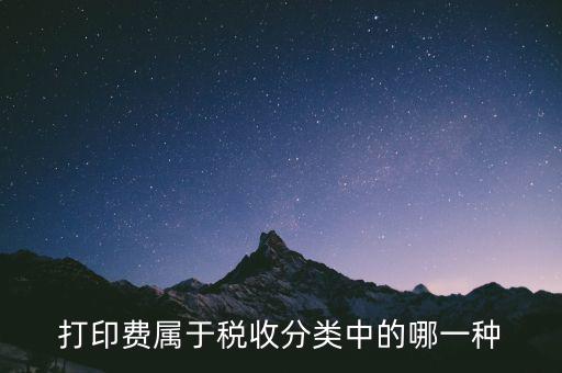 打字復(fù)印是什么稅種，我在鄉(xiāng)鎮(zhèn)辦了一家打字復(fù)印店請問需交納哪些稅