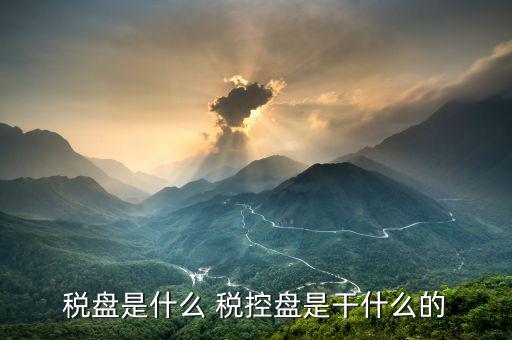 億企贏稅盤是什么，稅盤是什么 稅控盤是干什么的