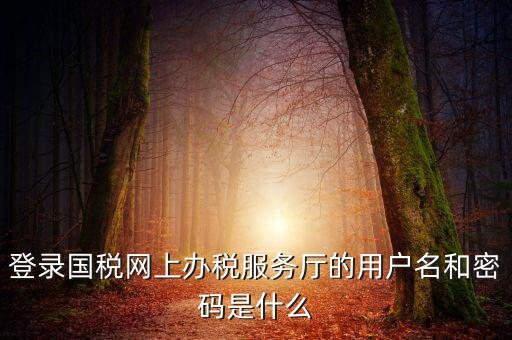 國稅默認賬號是什么意思，你好我想問你 一下 網(wǎng)上國稅的用戶名和密碼是什么