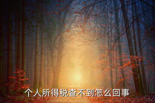 個(gè)人所得稅扣減為什么查不到，個(gè)人所得稅為什么不能在網(wǎng)上查找
