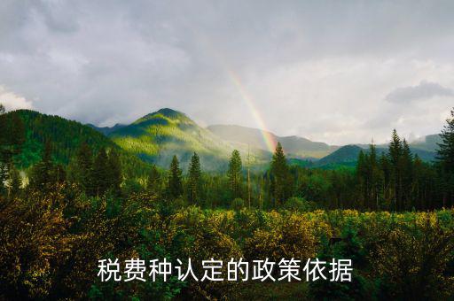 什么是稅費種認定信息查詢，稅費種認定信息在哪里查看