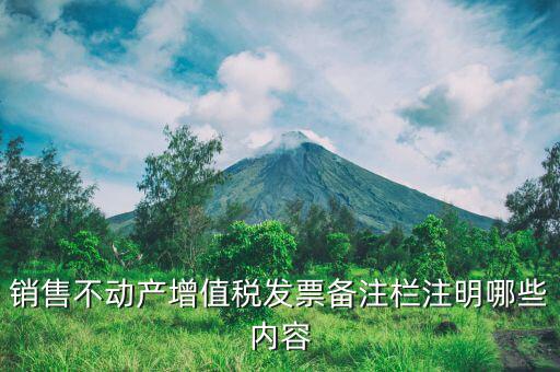 不動(dòng)產(chǎn)開具專票必須備注什么，非房地產(chǎn)企業(yè)不動(dòng)產(chǎn)開票是否需備注詳細(xì)地址