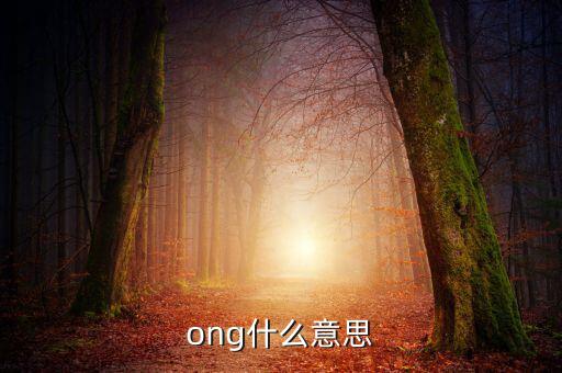 發(fā)票ong什么意思，ong什么意思