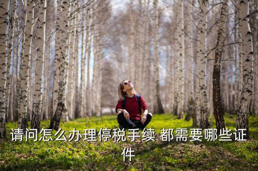 停供發(fā)票需要注意什么手續(xù)，停國(guó)稅要怎么辦理 要什么手續(xù)