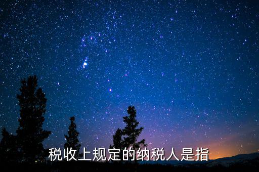 什么人是納稅人，納稅人的定義的什么