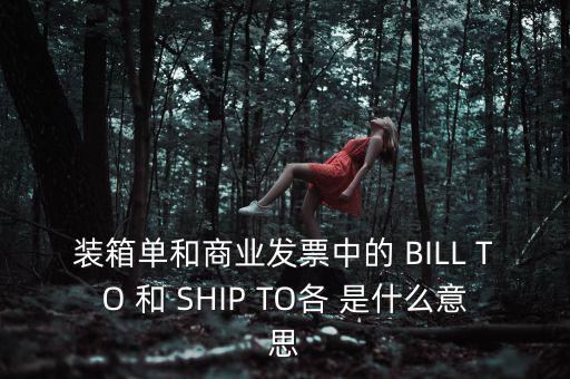 發(fā)票中b o是什么意思，在形式發(fā)票中Merrs是什么意思啊