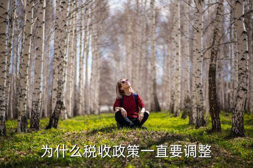 為什么進(jìn)行納稅調(diào)整，我國為什么要進(jìn)行個人所得稅調(diào)整高中政治