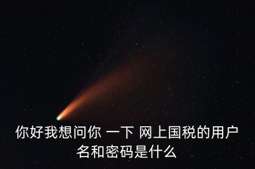 稅務(wù)登記密碼是什么，國稅第一次網(wǎng)上申報的登陸密碼是什么