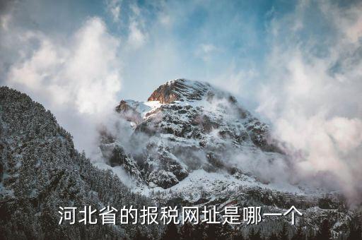 河北稅務(wù)官網(wǎng)是什么，怎么打開河北省國稅網(wǎng)站