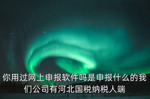 企業(yè)申報(bào)客戶端是什么，你用過網(wǎng)上申報(bào)軟件嗎是申報(bào)什么的我們公司有河北國稅納稅人端