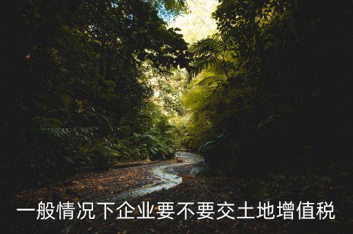 什么企業(yè)交土地增值稅，一般情況下企業(yè)要不要交土地增值稅