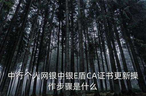 升級(jí)ca需要什么，CA證書(shū)怎么從副盤(pán)升級(jí)成正盤(pán)