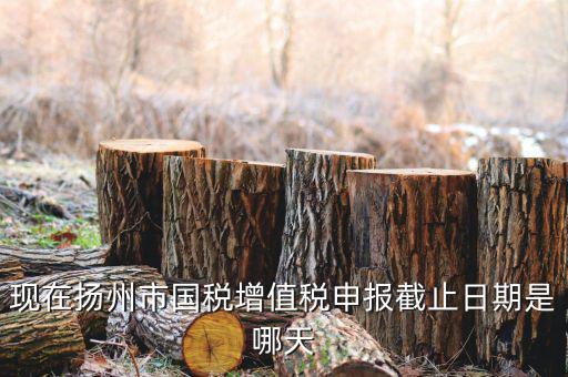 揚州10月稅務(wù)申報什么時候，個人所得稅10月份申報期限是多少